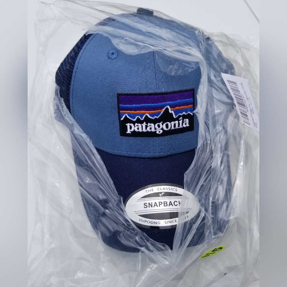 Patagonia snap back